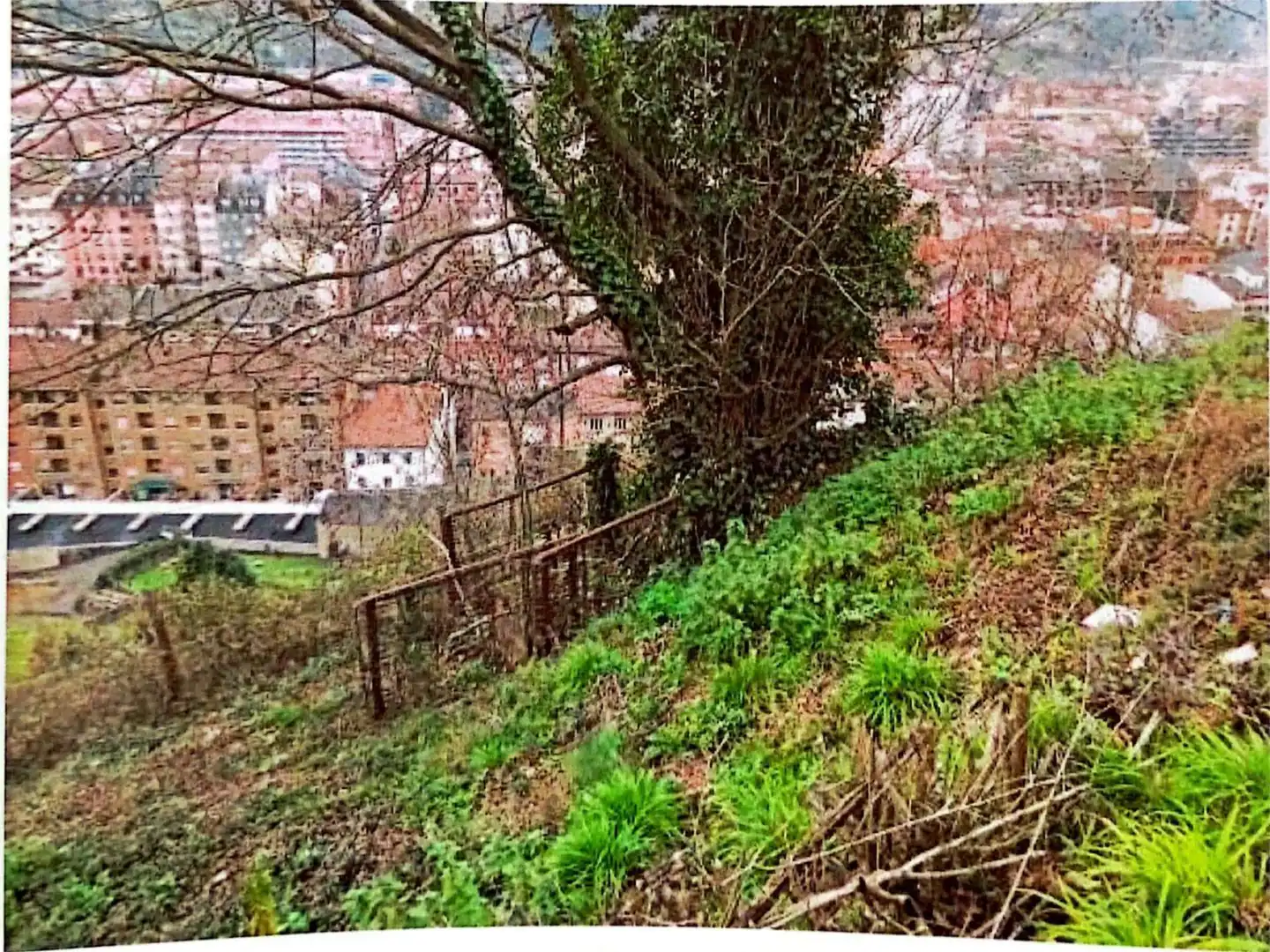 Vista exterior de Casa o chalet en venta en Mieres (Asturias)
