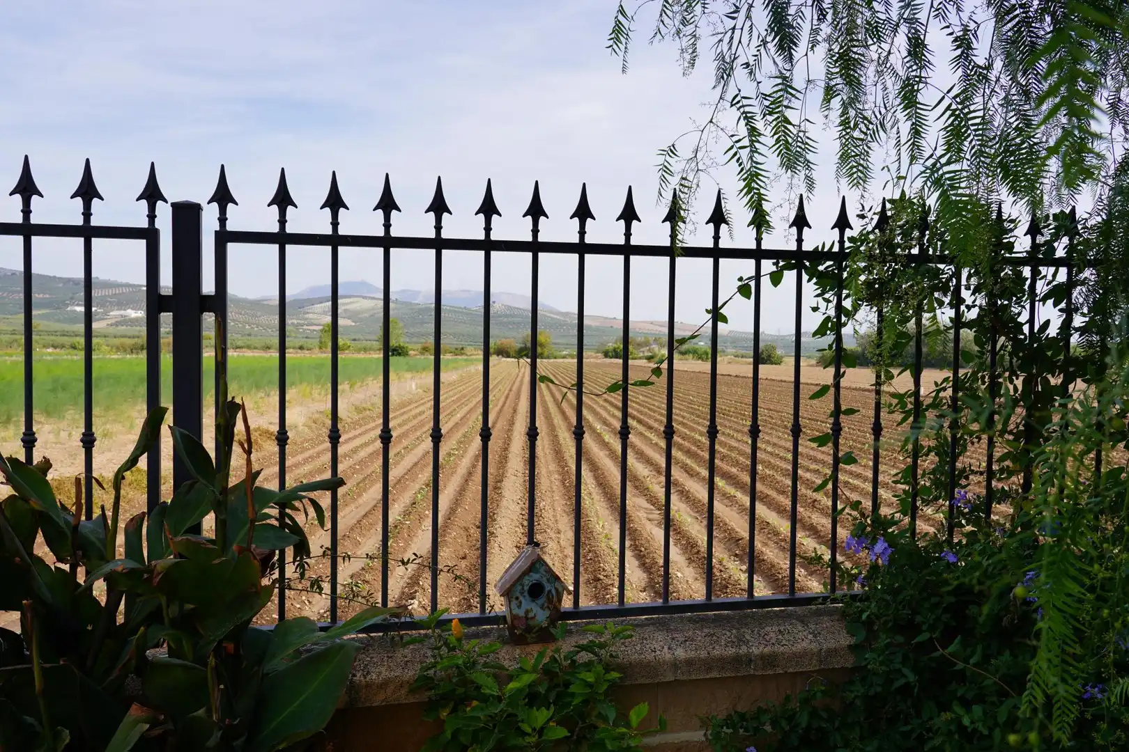 Jardí de Casa o xalet en venda en Huétor Tájar amb Aire condicionat, Terrassa i Piscina