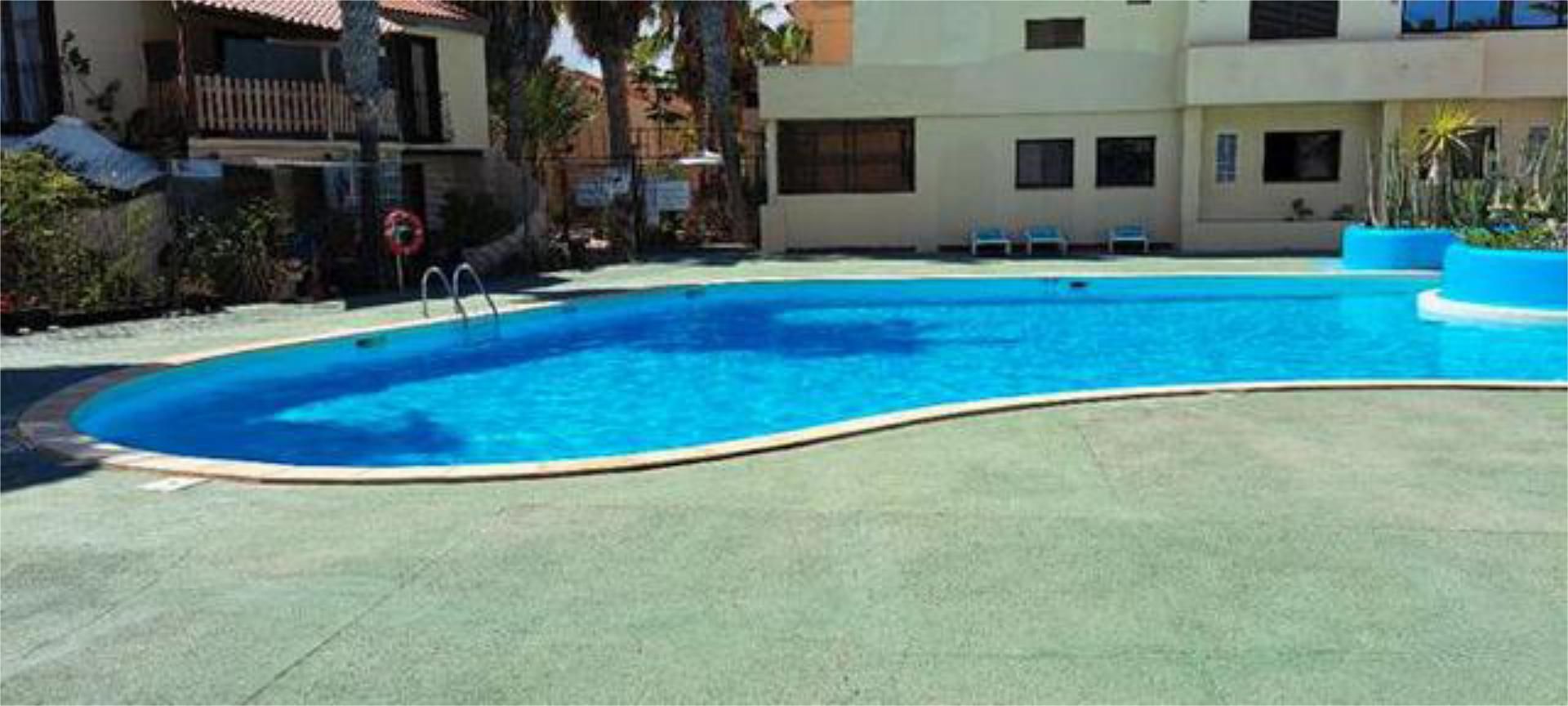 Swimming pool of House or chalet for sale in La Oliva  with Terrace and Swimming Pool