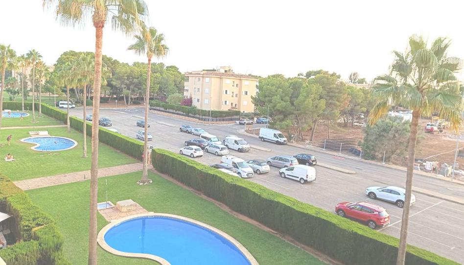 Flat for sale in Carrer D'en Donzell, 2, Maioris-Puig de Ros, Llucmajor - image 1 Photo 1 of Flat for sale in Carrer D'en Donzell, 2, Maioris-Puig de Ros, Llucmajor