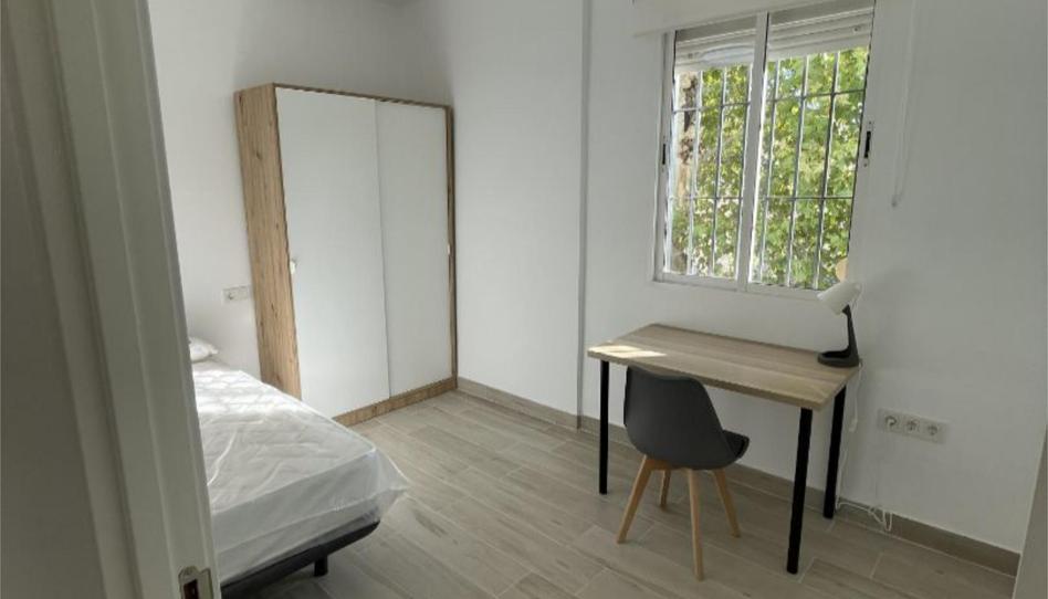 Photo 1 of Flat to share in Calle Páez de Rivera, 6, Sector Sur  - La Palmera - Reina Mercedes, Sevilla