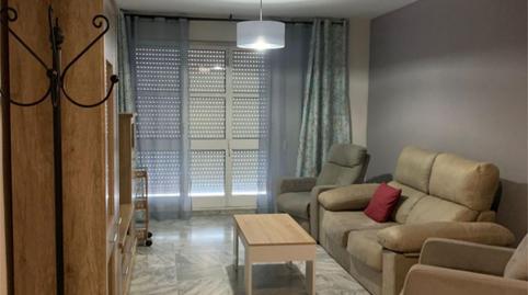 Foto 4 de Pis de lloguer a Carrer Pereira, 3, Paseo Marítimo - San José - La Laguna, Cádiz