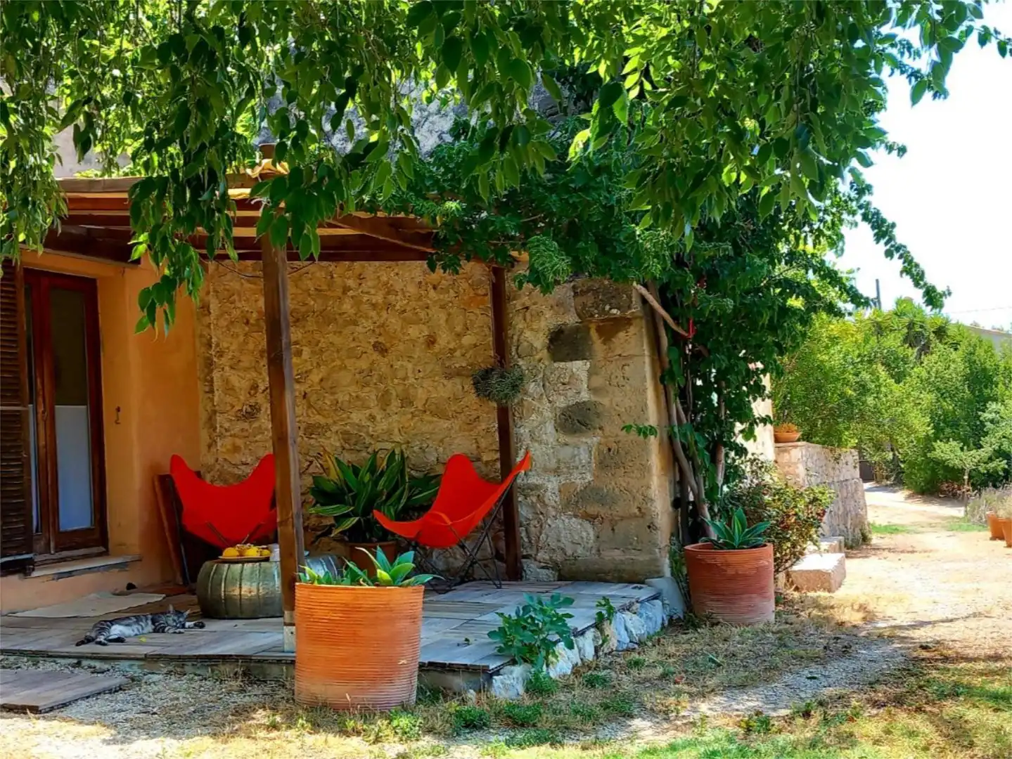 Terrassa de Casa o xalet en venda en  Palma de Mallorca