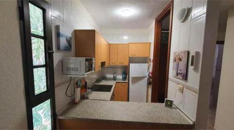 Apartament de lloguer a Puerto de Santiago, Santa Cruz de Tenerife - imatge 3 Foto 3 de Apartament de lloguer a Puerto de Santiago, Santa Cruz de Tenerife