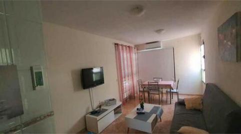 Apartament de lloguer a Puerto de Santiago, Santa Cruz de Tenerife - imatge 2 Foto 2 de Apartament de lloguer a Puerto de Santiago, Santa Cruz de Tenerife