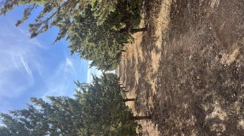 Finca rústica en venda a Calle Ruidera, 14, Argamasilla de Alba, Ciudad Real - imatge 5 Foto 5 de Finca rústica en venda a Calle Ruidera, 14, Argamasilla de Alba, Ciudad Real