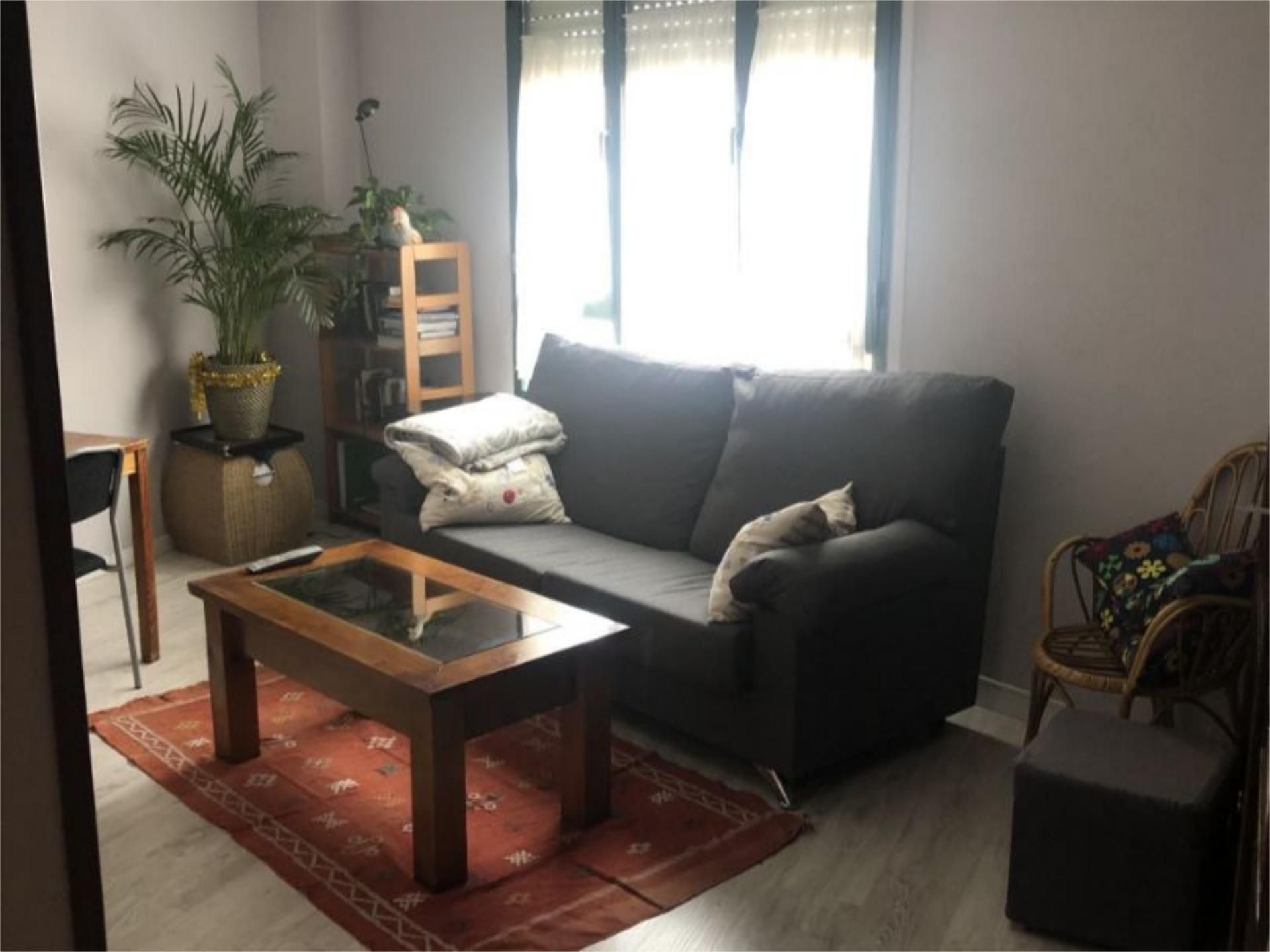 Living room of Flat to rent in  Madrid Capital  with Air Conditioner, Heating and Private garden