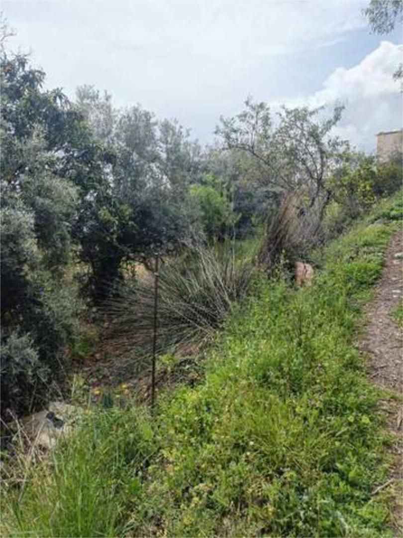 House or chalet for sale in El Ejido