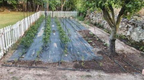 Foto 3 de Piso de alquiler en Pancorbo, Burgos