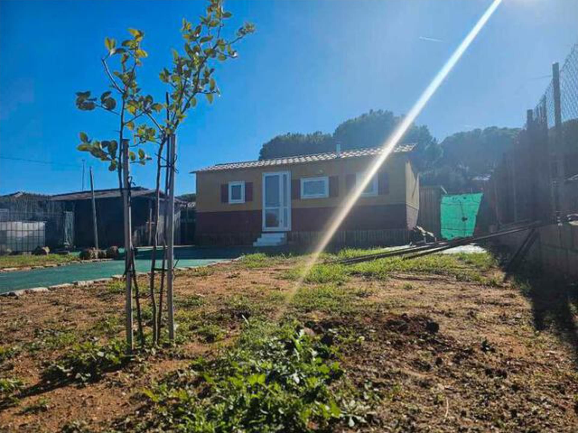 House or chalet to rent in Centro