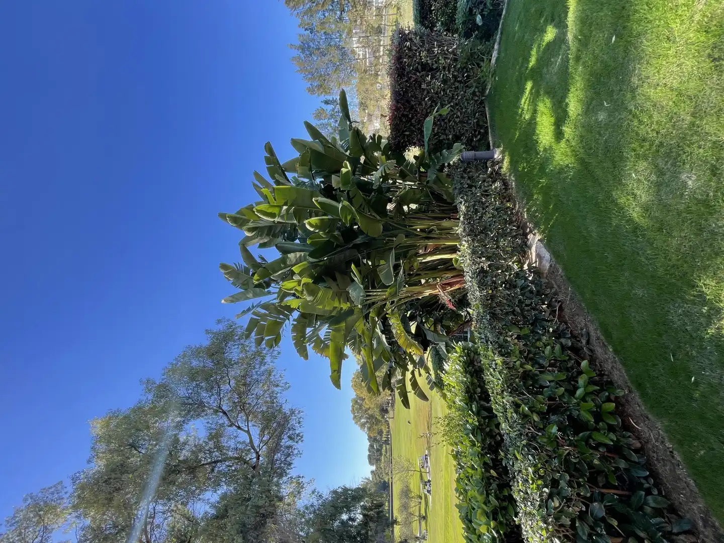 Garden of Flat for sale in Estepona  with Air Conditioner, Heating and Private garden