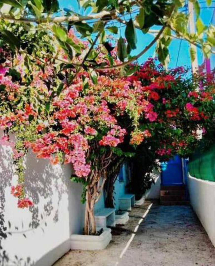 Casa adosada de lloguer a La Soledad