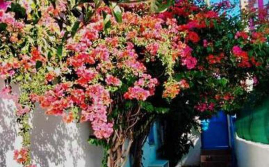 Casa adosada de alquiler en La Soledad, Cádiz - imagen 1 Foto 1 de Casa adosada de alquiler en La Soledad, Cádiz