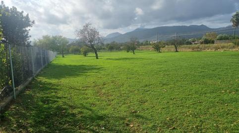 Country house for sale in Carrer del Puig de Massanella, 150, Cristo Rey - Parque Europa, Illes Balears - image 5 Photo 5 of Country house for sale in Carrer del Puig de Massanella, 150, Cristo Rey - Parque Europa, Illes Balears