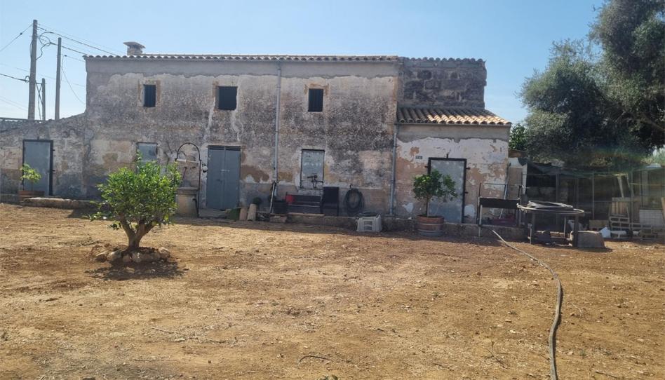 Country house for sale in Carrer del Puig de Massanella, 150, Cristo Rey - Parque Europa, Illes Balears - image 1 Photo 1 of Country house for sale in Carrer del Puig de Massanella, 150, Cristo Rey - Parque Europa, Illes Balears