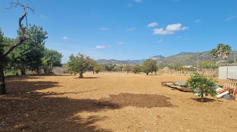 Country house for sale in Carrer del Puig de Massanella, 150, Cristo Rey - Parque Europa, Illes Balears - image 3 Photo 3 of Country house for sale in Carrer del Puig de Massanella, 150, Cristo Rey - Parque Europa, Illes Balears