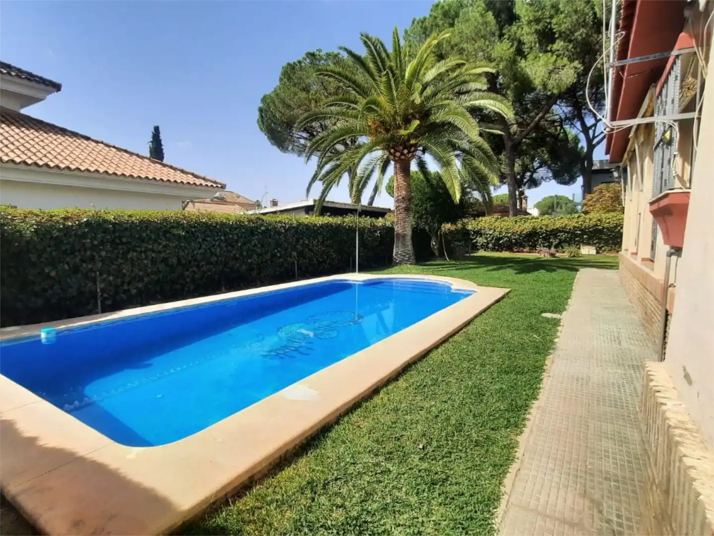 Piscina de Casa o chalet en venta en Carmona con Aire acondicionado, Jardín privado y Trastero