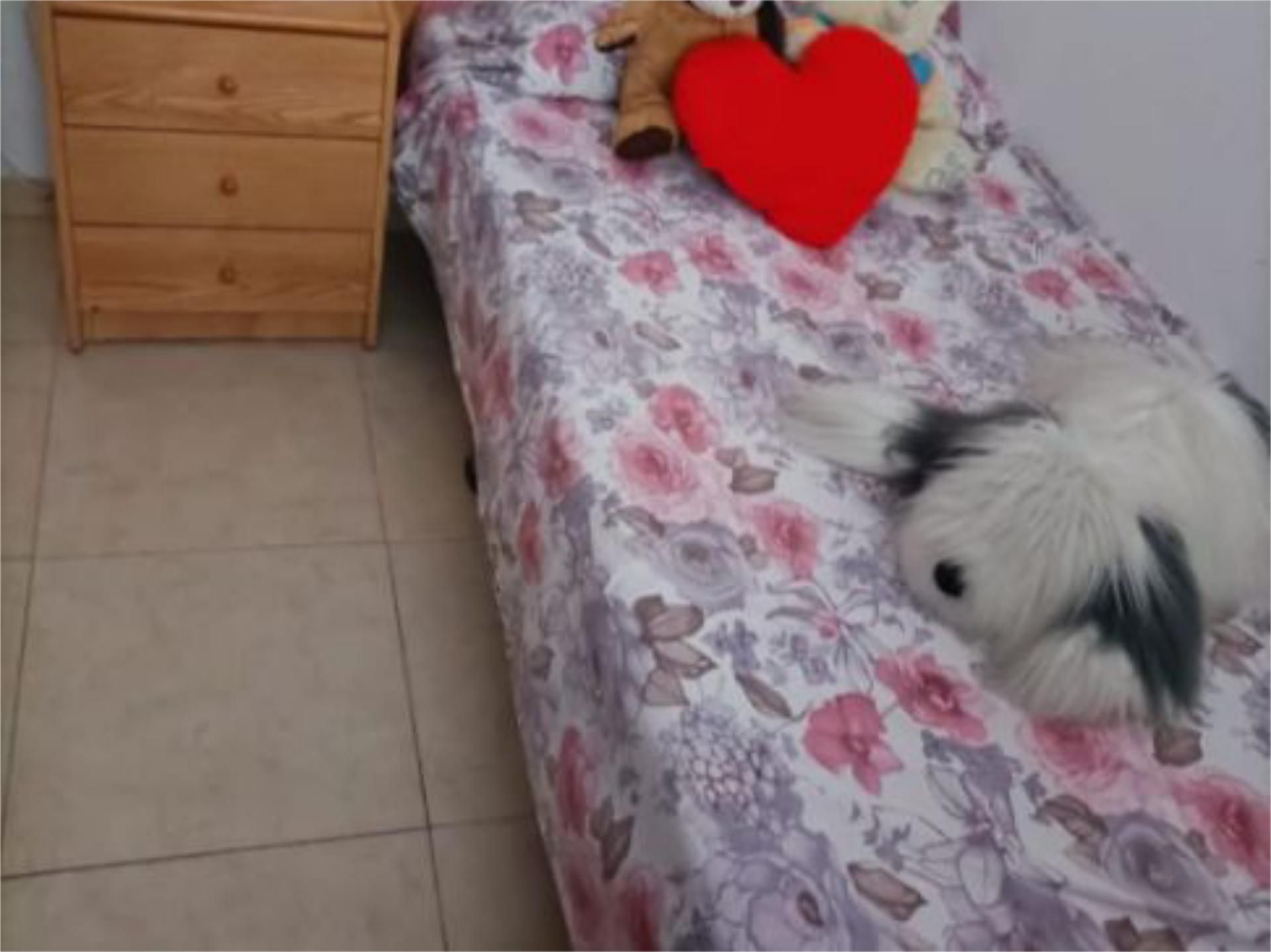 Pis per a compartir a Avinguda de Ramon d'Olzina, 3, Vila-seca Poble Pis per a compartir a Avinguda de Ramon d'Olzina, 3, Vila-seca Poble