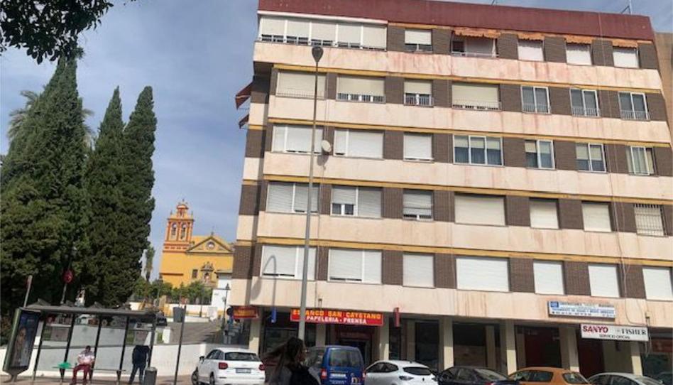 Pis de lloguer a Avenida de las Ollerías, 13, Ollerías - San Cayetano, Córdoba - imatge 1 Foto 1 de Pis de lloguer a Avenida de las Ollerías, 13, Ollerías - San Cayetano, Córdoba