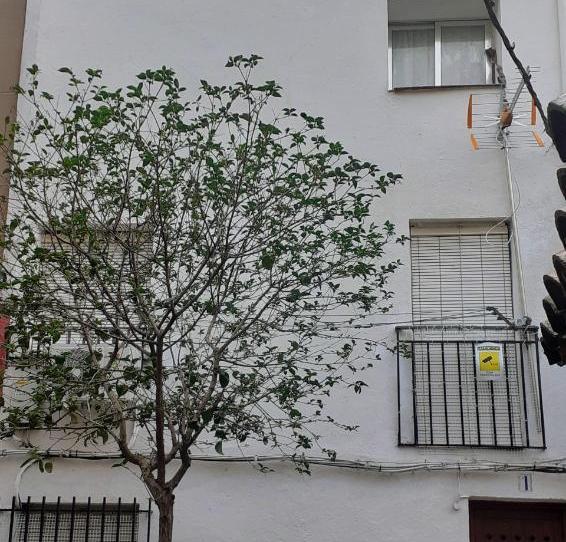 Single-family semi-detached for sale in Calle Ermita, 1, Sotillo de la Adrada, Ávila - image 1 Photo 1 of Single-family semi-detached for sale in Calle Ermita, 1, Sotillo de la Adrada, Ávila