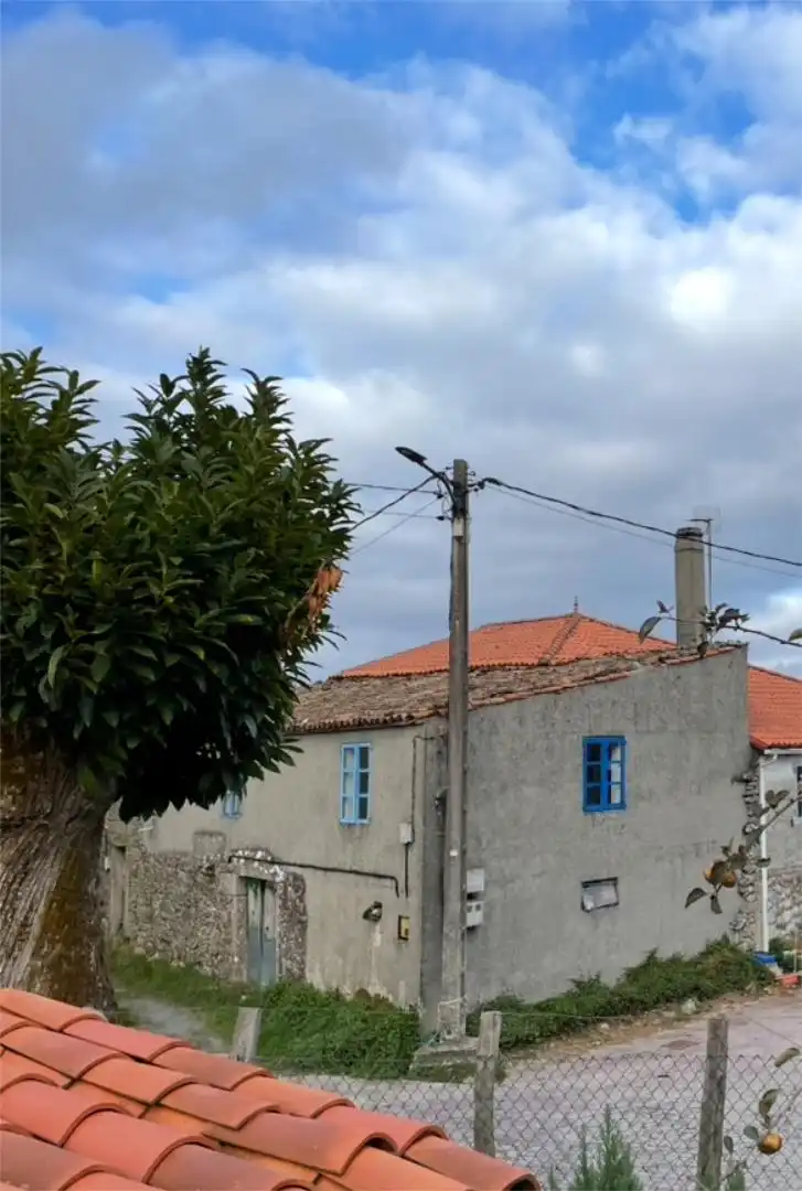 Vista exterior de Finca rústica en venta en Antas de Ulla