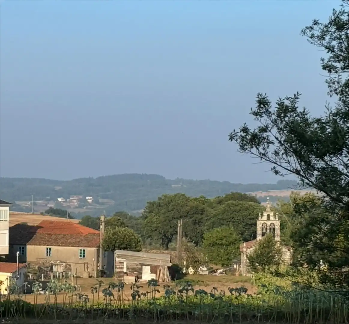 Vista exterior de Finca rústica en venta en Antas de Ulla