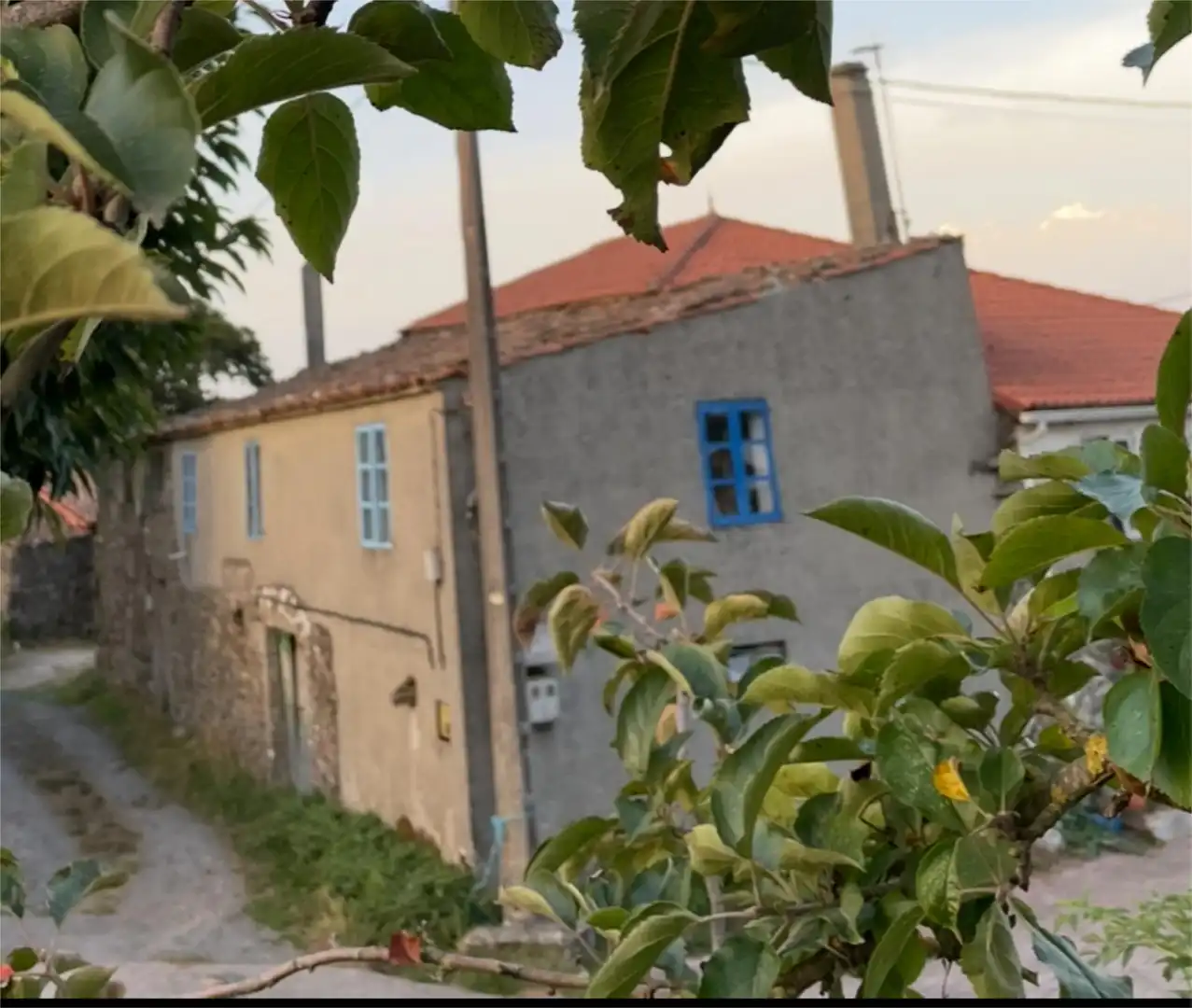 Vista exterior de Finca rústica en venta en Antas de Ulla