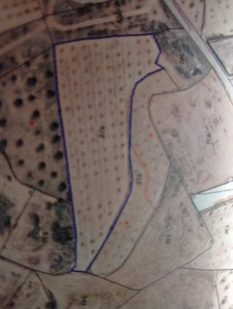 Grundstücke zum verkauf in Calanda