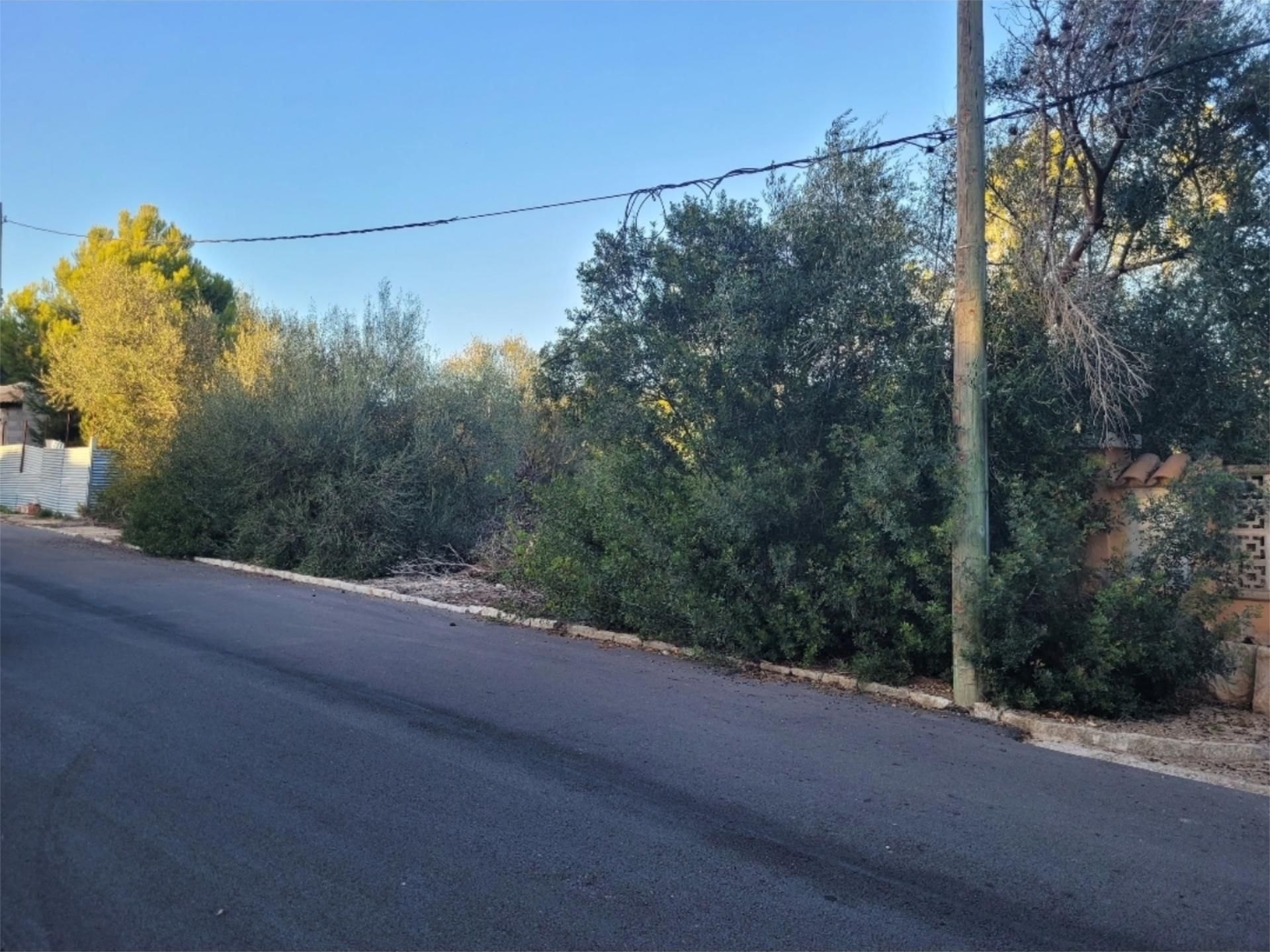 Land for sale in Llucmajor