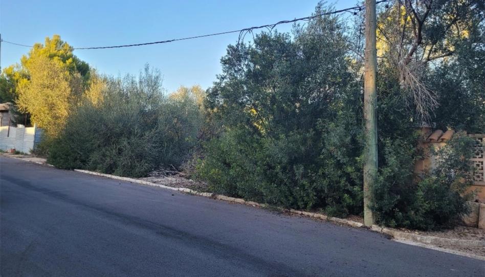 Photo 1 of Land for sale in Carrer de Rembrant, 3, Cala Pi - Vallgornera, Illes Balears