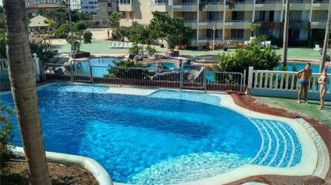 Apartament de lloguer a Golf del Sur - Amarilla Golf, Santa Cruz de Tenerife - imatge 3 Foto 3 de Apartament de lloguer a Golf del Sur - Amarilla Golf, Santa Cruz de Tenerife