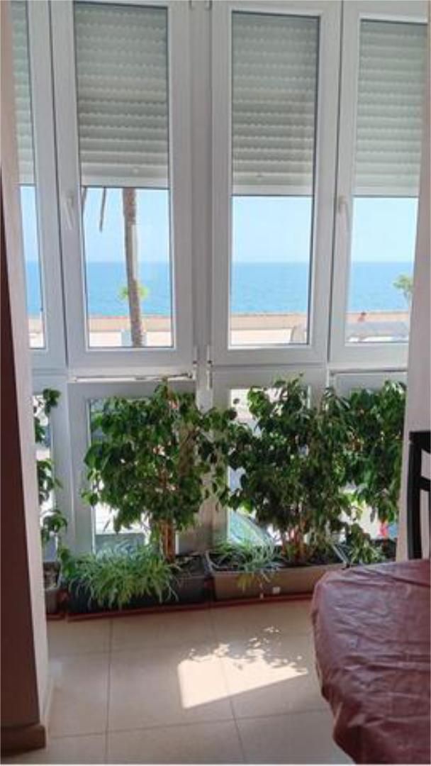 Bedroom of Flat to rent in  Cádiz Capital  with Furnished and Pets allowed