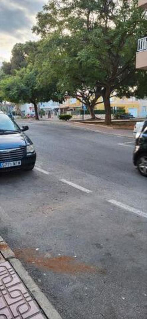 Vista exterior de Local de alquiler en Torrevieja