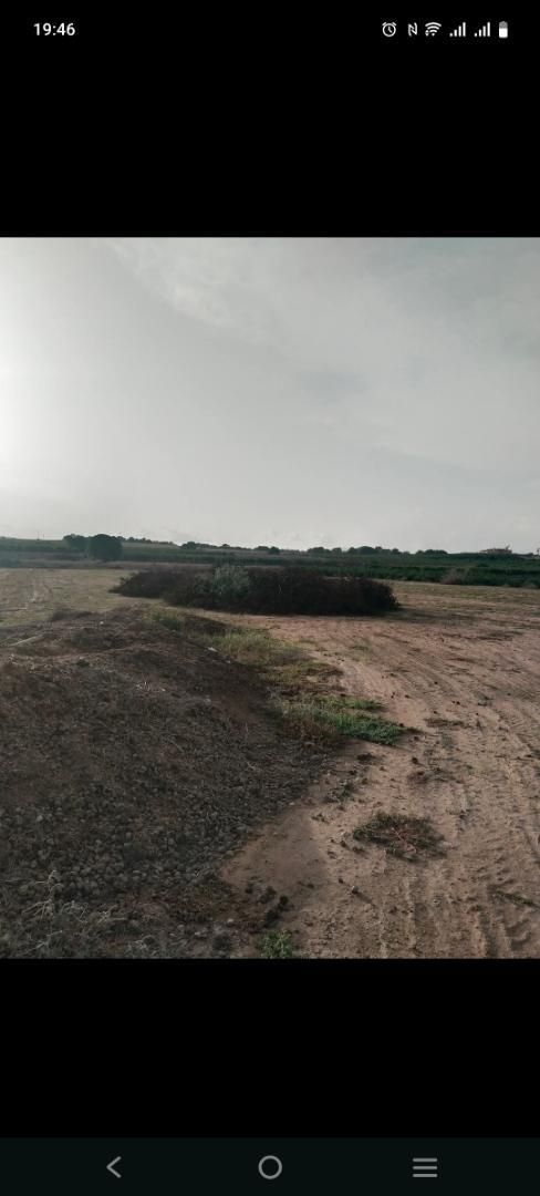 Terreno en venta en Algorfa