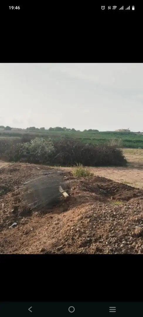 Grundstücke zum Verkauf in Avenida del Tomillos, 19, Algorfa Grundstücke zum Verkauf in Algorfa