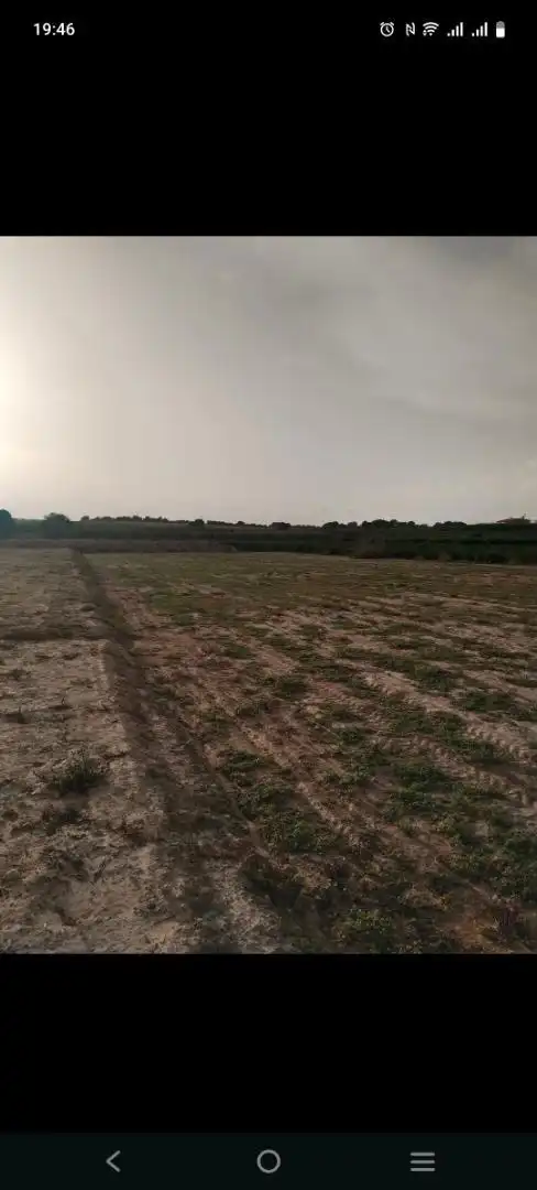 Grundstücke zum Verkauf in Avenida del Tomillos, 19, Algorfa Grundstücke zum Verkauf in Algorfa