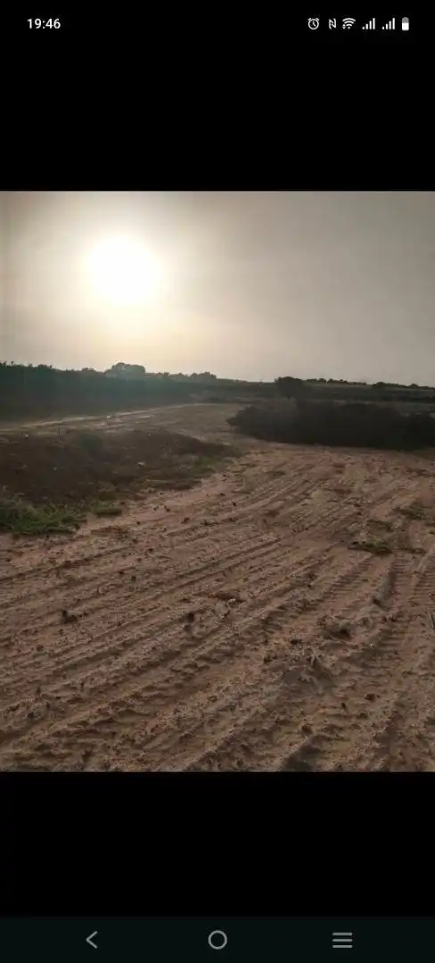 Grundstücke zum Verkauf in Avenida del Tomillos, 19, Algorfa Grundstücke zum Verkauf in Algorfa