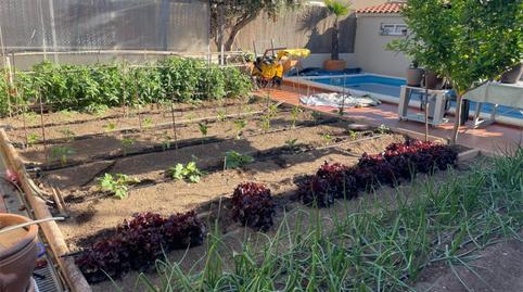 Planta baja for sale in Plaza Mayor Pradochan, 1, Zona Sur - Av. de España - San Miguel, Cáceres - image 2 Photo 2 of Planta baja for sale in Plaza Mayor Pradochan, 1, Zona Sur - Av. de España - San Miguel, Cáceres