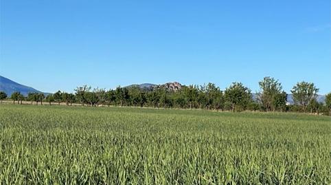 Flat to rent in Calle Mayor Sabinar, 5, Moratalla, Murcia - image 2 Photo 2 of Flat to rent in Calle Mayor Sabinar, 5, Moratalla, Murcia