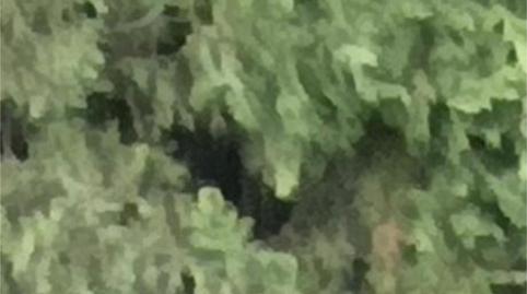 Foto 4 de Apartament de lloguer a Los Ramos, Murcia