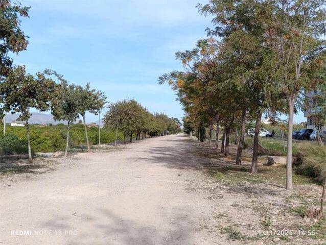 Apartamento en Alquiler en Los Ramos