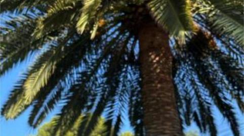 Foto 4 de Casa adosada de lloguer a El Montgó, Alicante