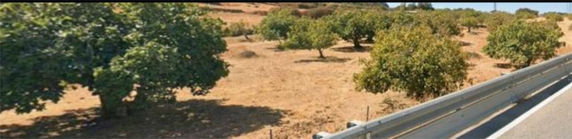 Grundstücke zum verkauf in Monesterio