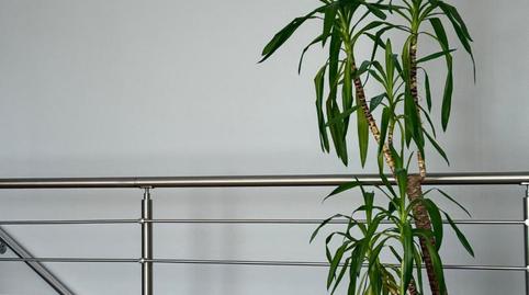 Pis de lloguer a Calle de la Princesa de Éboli, 64, Sanchinarro, Madrid - imatge 5 Foto 5 de Pis de lloguer a Calle de la Princesa de Éboli, 64, Sanchinarro, Madrid