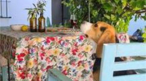 Photo 4 of House or chalet for sale in Minas de Riotinto, Huelva