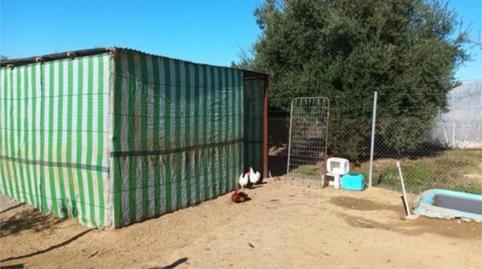 Foto 4 de Casa o xalet en venda a Almonte ciudad, Huelva