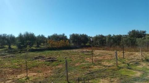 Foto 2 de Casa o xalet en venda a Almonte ciudad, Huelva