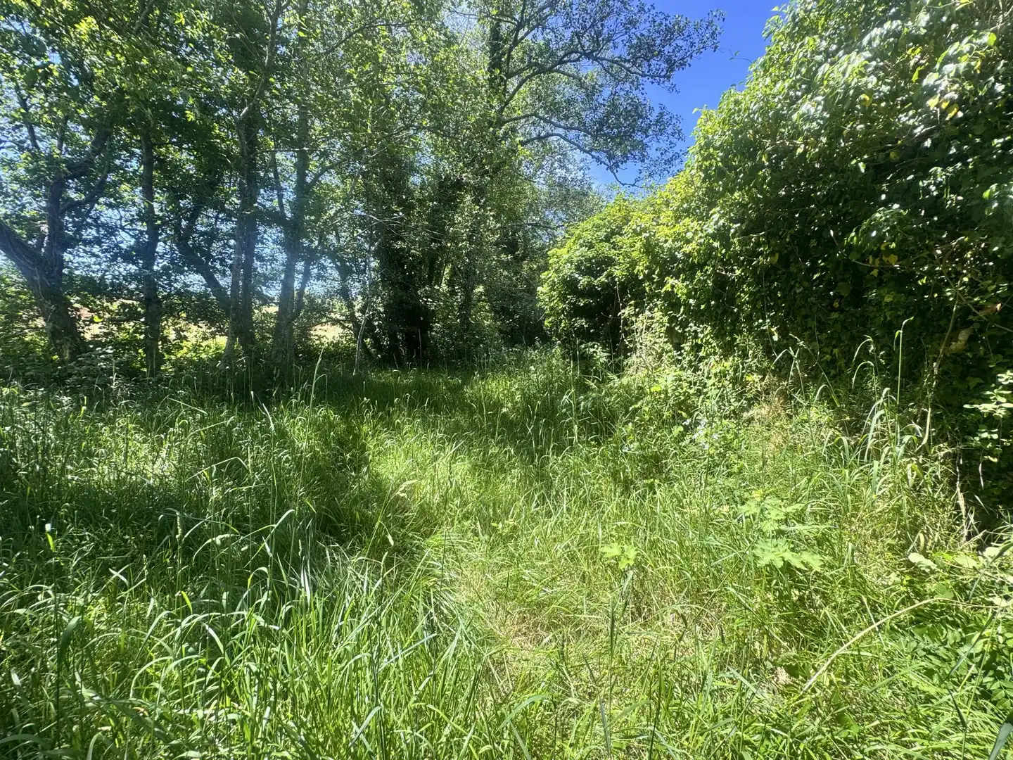 Land for sale in Lugar Campo Rial, 83, Val do Dubra Land for sale in Val do Dubra