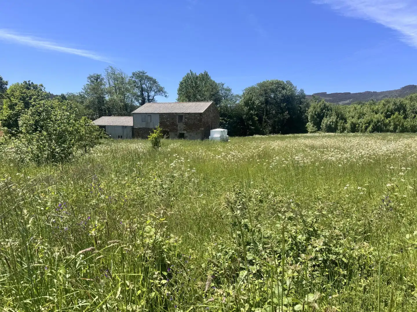 Land for sale in Lugar Campo Rial, 83, Val do Dubra Land for sale in Val do Dubra