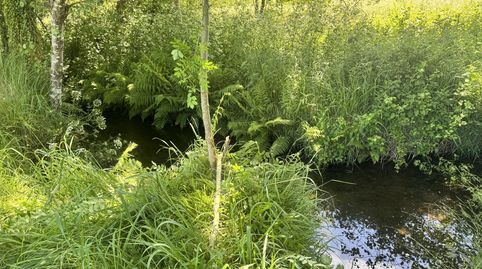 Foto 3 de Terreno en venta en Lugar Campo Rial, 83, Val do Dubra, A Coruña